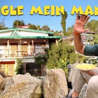 Jungle Mein Mangal