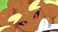 Lopunny Compilation