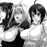 Best Seinen Harem Manga Ranked