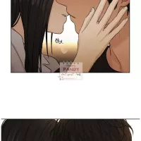 Just Twilight