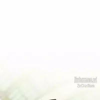 Under The Green Light Chapter 75