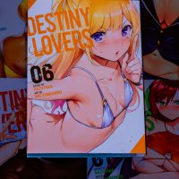 Desuraba Destiny Lover 2018
