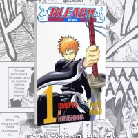 1 Akame Manga and Ranobe 208487106 750 - Wildberries