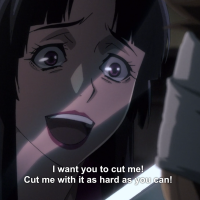 Netflix Anime Review