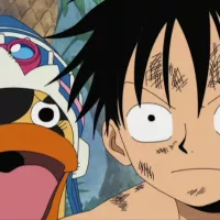 1146 One Piece