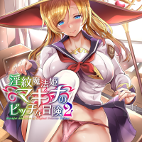 Eroge LV6: ! grimuare fb2