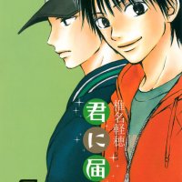 3 Kimi ni Todoke 3 by Karuho Shiina