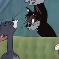 In the Tom and Jerry collection two episodes are removed