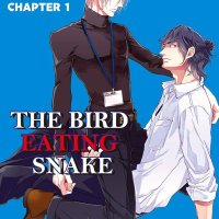 THE BIRD EATING SNAKE Yaoi Manga 1 eBook : Megu Iroha Megu Iroha: Amazon.co.uk: Kindle Store