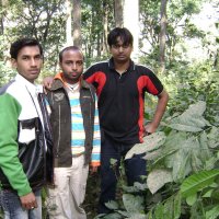 Jungal main mangal