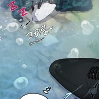 The Rabbits Way In The Sharks Realm