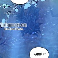 Shark And Bunny Bride