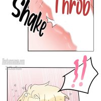 Shark And Bunny Bride
