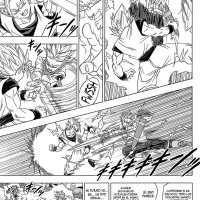 Pagina 33
