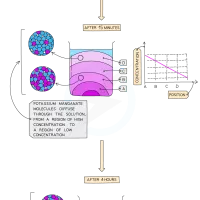 Diffusion