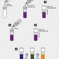Potassium permanganate Chemistry Potassium manganate chameleon transparent background PNG clipart