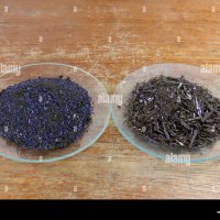 A pair of watch glasses of Potassium permanganate Potassium manganateVII powder and crystals as used in a UK SecondaryHigh school Stock Photo