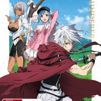 Buy Plunderer