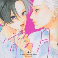 Uruwashi no Yoi no Tsuki Vol.2 Japanese Shoujo Manga India