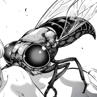 Giant Botfly