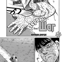1148 116