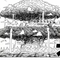 One Piece Chapter 1148 Officially Delayed: New Release Date Announced