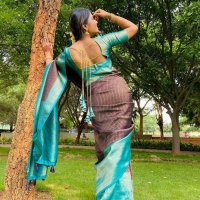 BEAUTIFUL BANARASI SILK SAREE 5513
