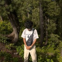 Mirza on X: Jungle me mangal