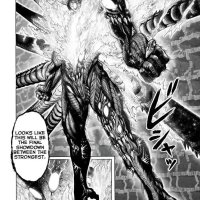 Read Onepunch Man Chapter 159