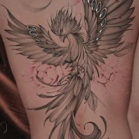 72 ideas de MANGA FENIX