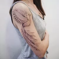 Tatuaje: Ave Fénix por Darylis Tattoo