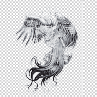 Ilustracin fénix estrella nutica del tatuaje de la manga fénix tatuaje fénix diverso blanco pjaro png