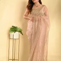 Golden Raina Organza saree