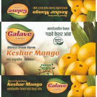 OrgMango: Organic Keshar Mangoes Direct from Galve Mango Farm