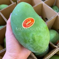 WW Harumanis Mango Box MomoBud