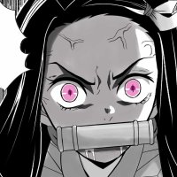 dont mess with nezuko Nicolas Contreras