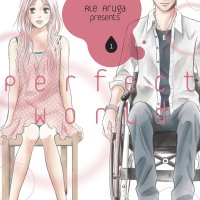 Perfect World Vol. 1 by Rie Aruga