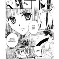 Shizukas Paraplegia Theory
