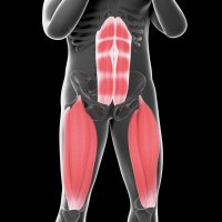 How to Squat: The Ultimate Guide to the Perfect Squat