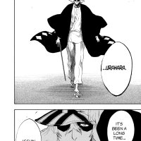 BLEACH Manga Volume 22