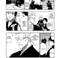 BLEACH Manga Volume 21