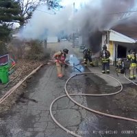 Several animals die in Dover house engulfed in flames