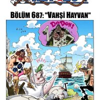 One Piece Renkli
