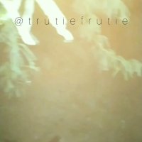 trutiefruties video Tweet