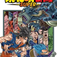 Dragon Ball Super Manga Vol. 13 Series 13 Paperback