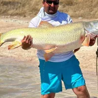 Mangar Luciobarbus Esocinus
