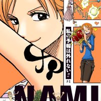 ONE PIECE NAMI