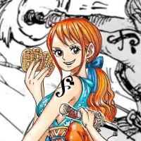 One Piece Debuts Namis New Comrade