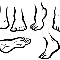 How To Draw Anime Feet Draw Feet Drawing Step by Step by Dawn