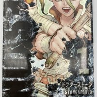 Dr. Stone Manga Vol.1 1st Edition 2017 Japan Comic Riichiro Inagaki USED